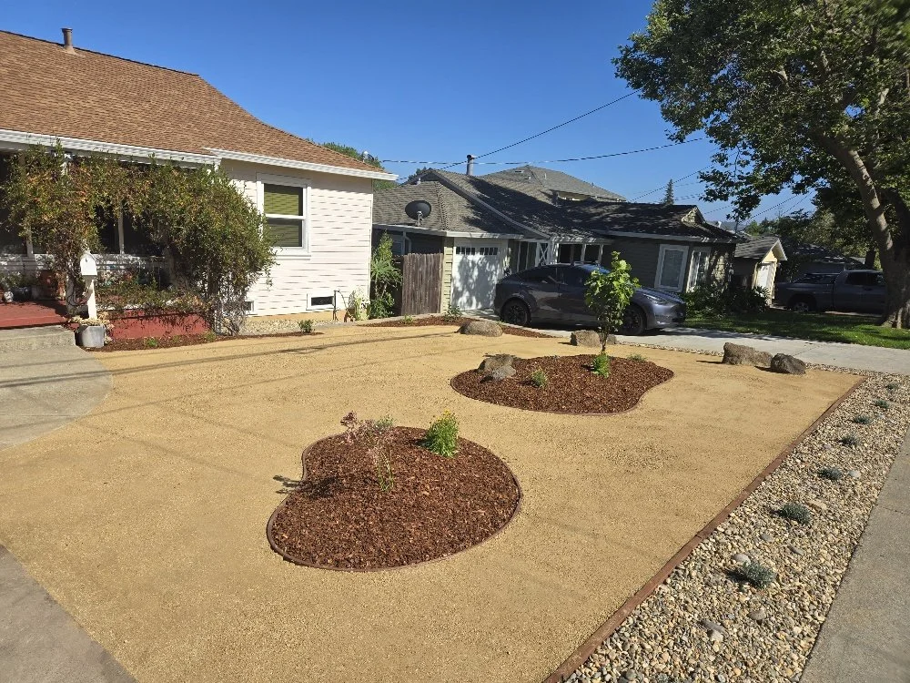 A front yard landscaped with gravel, small plants, and rocks, with neighboring houses and parked cars visible in the background.