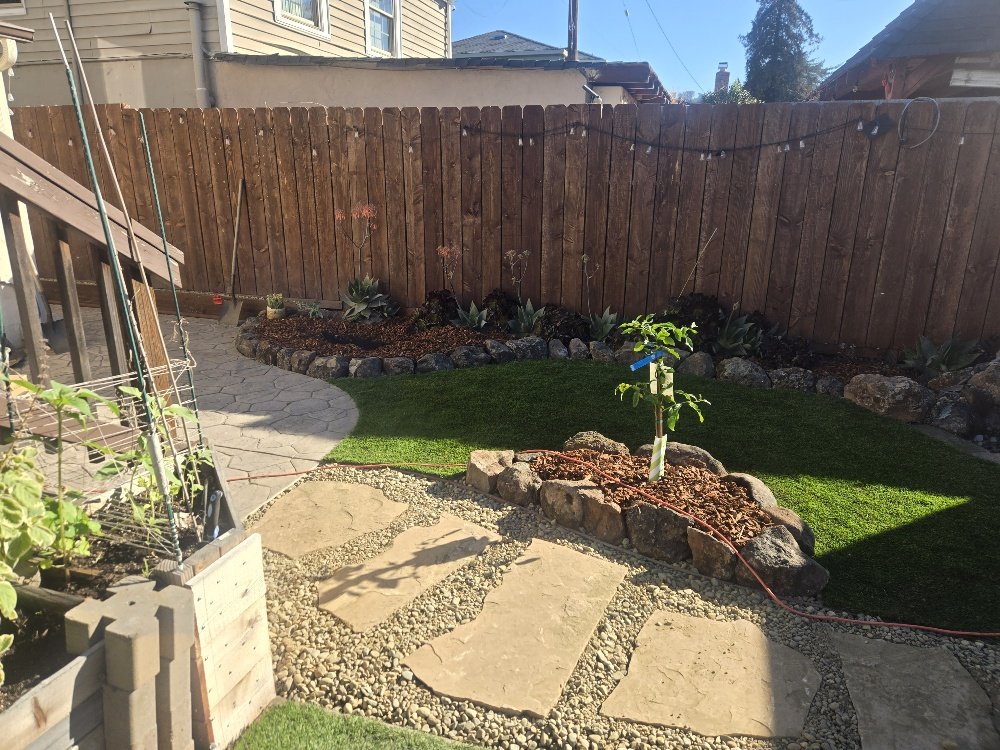 A backyard with a wooden fence, a small grassy area, a young tree in a stone-bordered bed, and a paved pathway with stepping stones and gravel. There is a raised garden bed on the left and a string of outdoor lights along the fence.