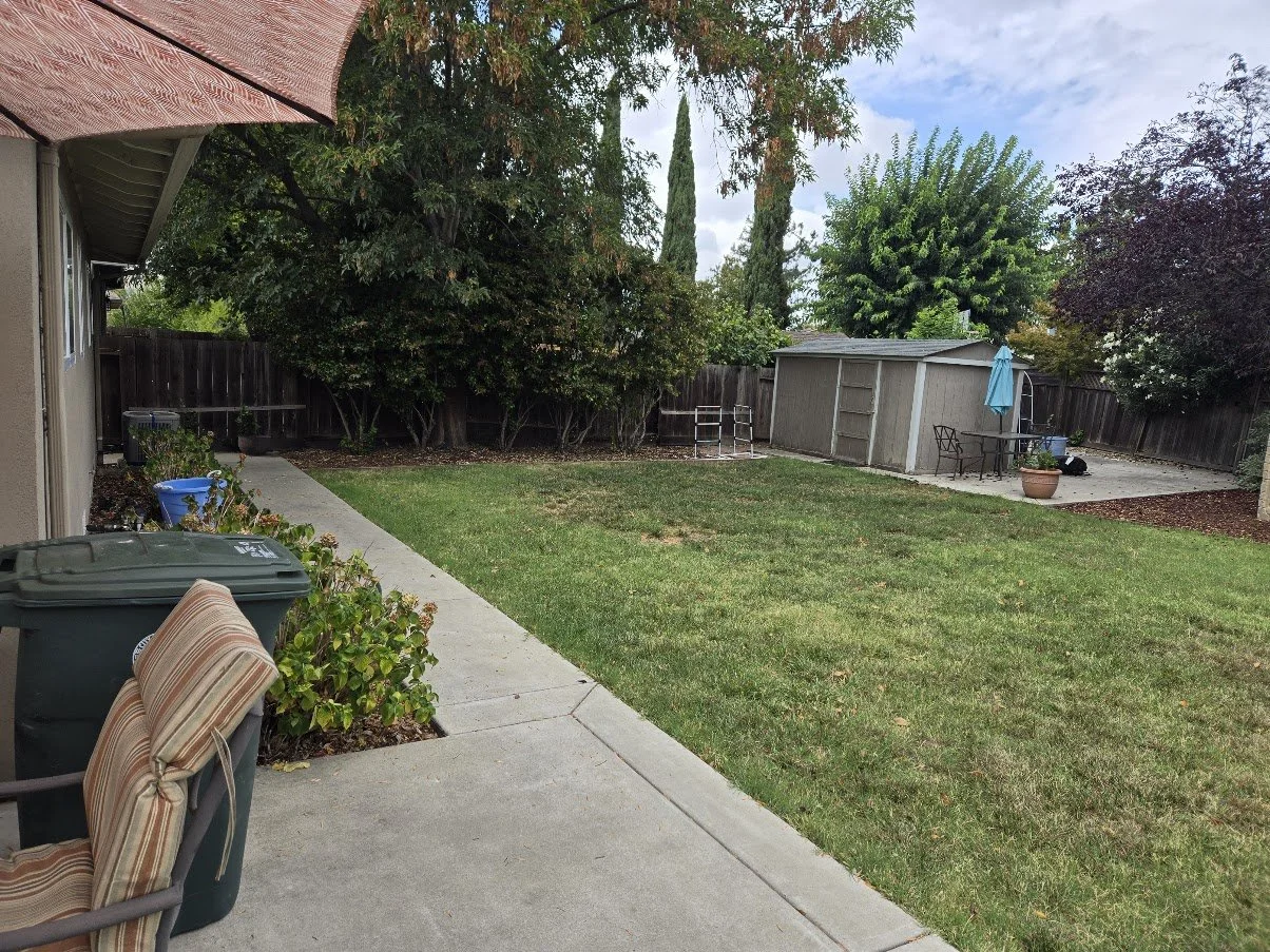 A backyard with a concrete patio area, a lawn, and a variety of trees and bushes. There is a gray shed, a patio table with an umbrella, and some chairs. The yard is enclosed with a wooden fence.