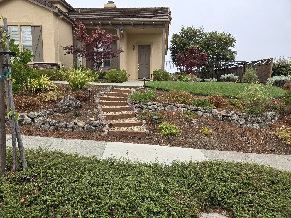 Front yard landscaping with a pathway leading up to a house, featuring trees, shrubs, rocks, and a maintained lawn.