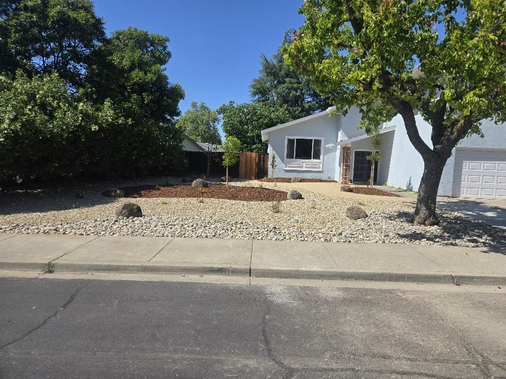 Front yard with a large tree, bushes, and a white house with a garage, a concrete driveway, and a pebble garden area.
