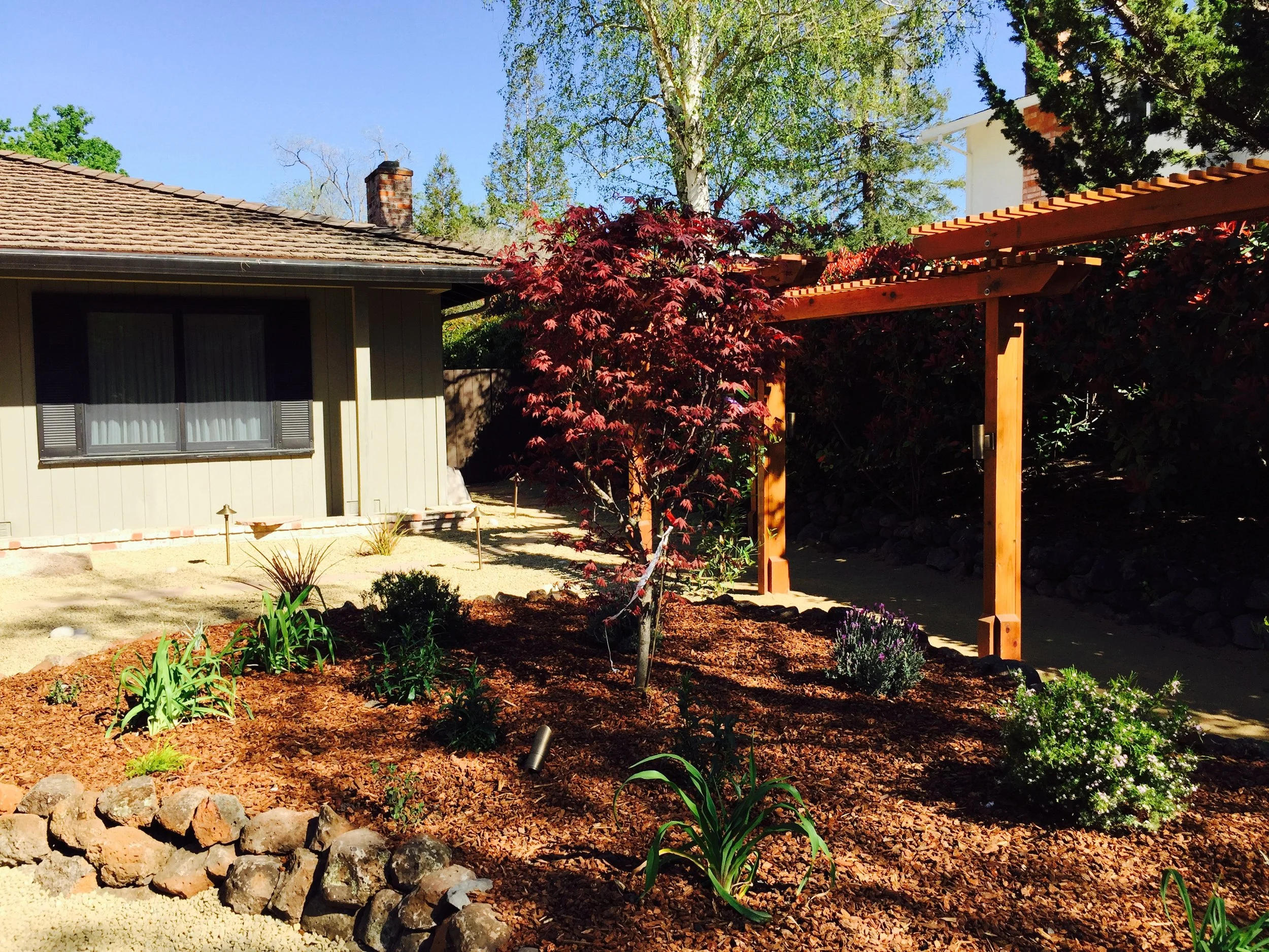 A landscaped backyard with a house, red tree, and wooden pergola, with various plants and a stone border.