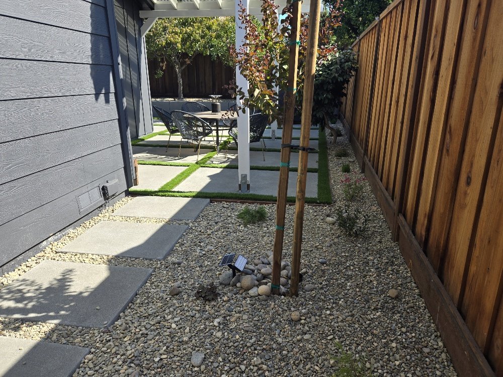 A landscaped backyard featuring a paved pathway, young trees supported by stakes, a small grassy area with outdoor furniture, and a wooden fence.