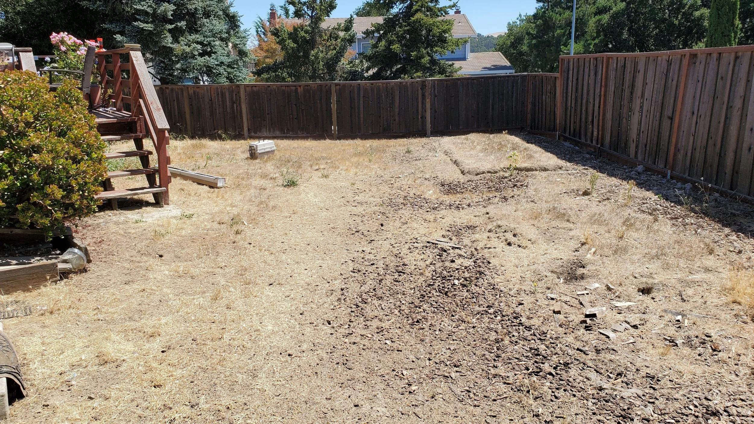 A backyard with a fenced yard, a set of stairs leading to a deck with flowers, and few small plants growing in the dry, patchy grass.