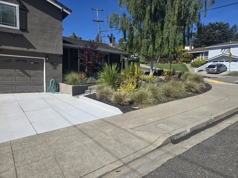 Residential street with a house, driveway, and garden in front; clear blue sky and trees.