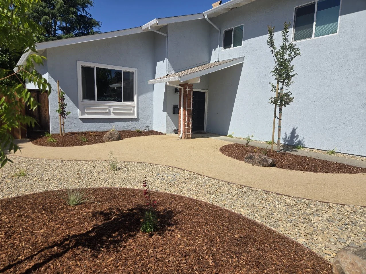 Front yard of a modern house with a light blue exterior, landscaped with mulch, small trees, and a curved walkway.