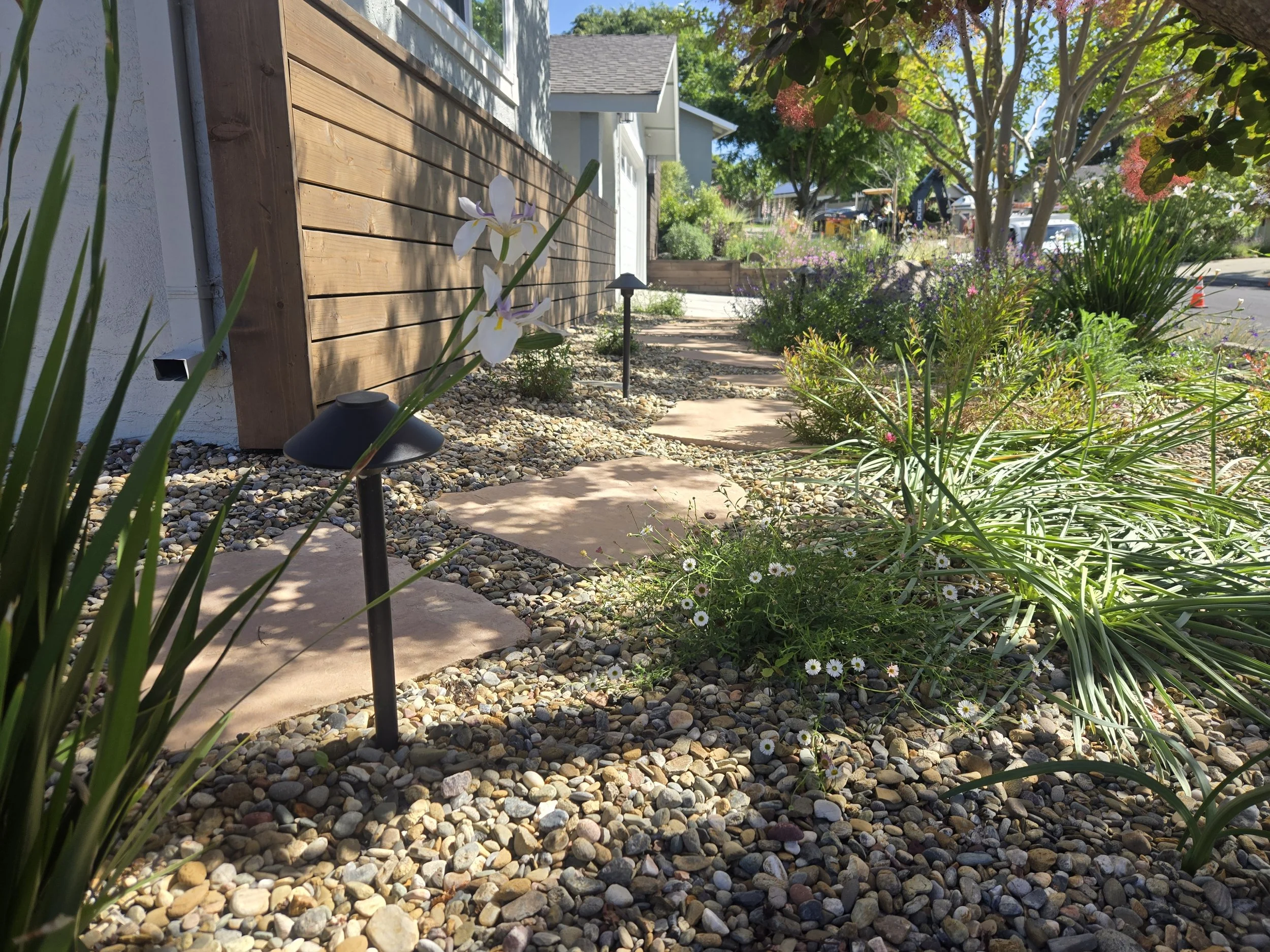 A landscaped front yard with a stone pathway, various green plants and flowers, a wooden fence on one side, and a house with a gray roof and white walls. There is a tree with green and reddish leaves, and a street with cars and a building visible in 