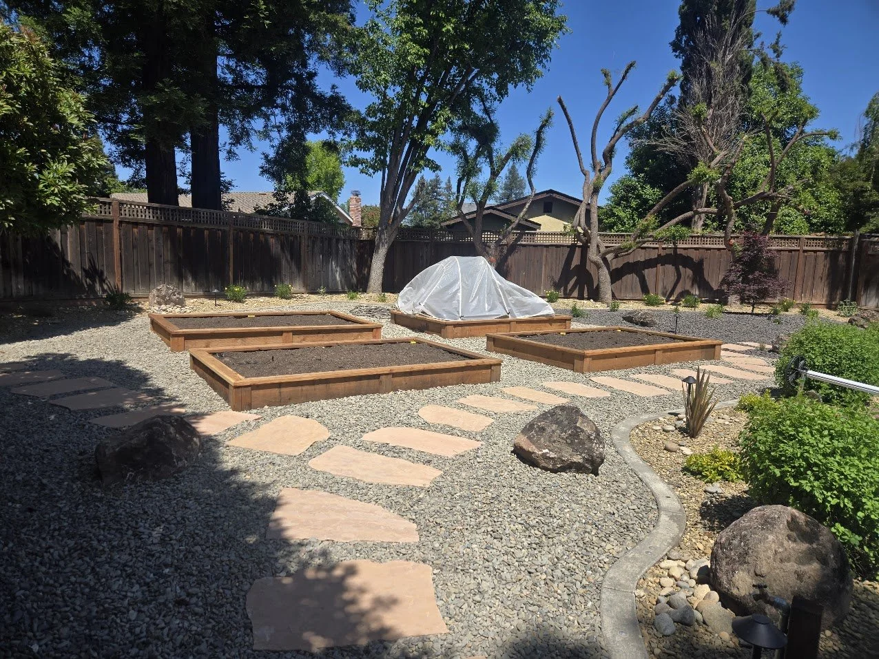 Backyard with four raised garden beds, a small greenhouse with a plastic cover, stone pathway, large rocks, trees, bushes, and a wooden fence under a blue sky.
