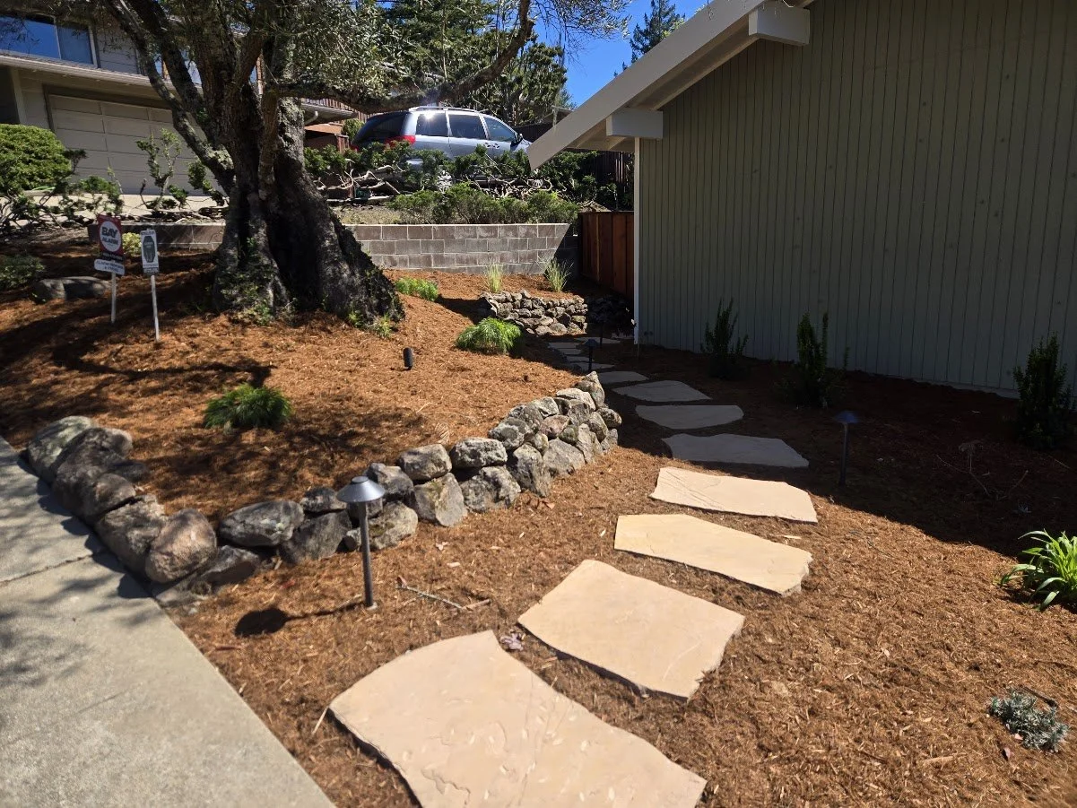 A landscaped front yard with a stone pathway leading to a house, with mulch and small plants, a large tree, and a retaining wall in the background. A car is parked on a driveway at the top of the yard.
