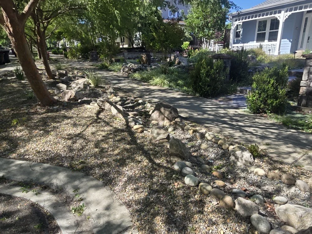 A sidewalk running through a garden with trees, shrubs, and rocks, with a white house to the right in a sunny residential neighborhood.