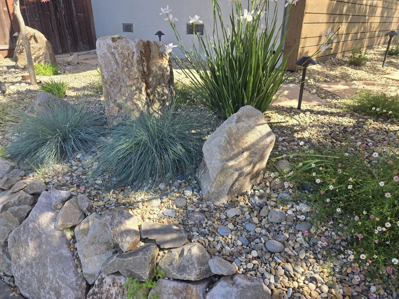 A xeriscaped garden with large rocks, gravel ground cover, ornamental grasses, white flowers, and solar pathway lights.
