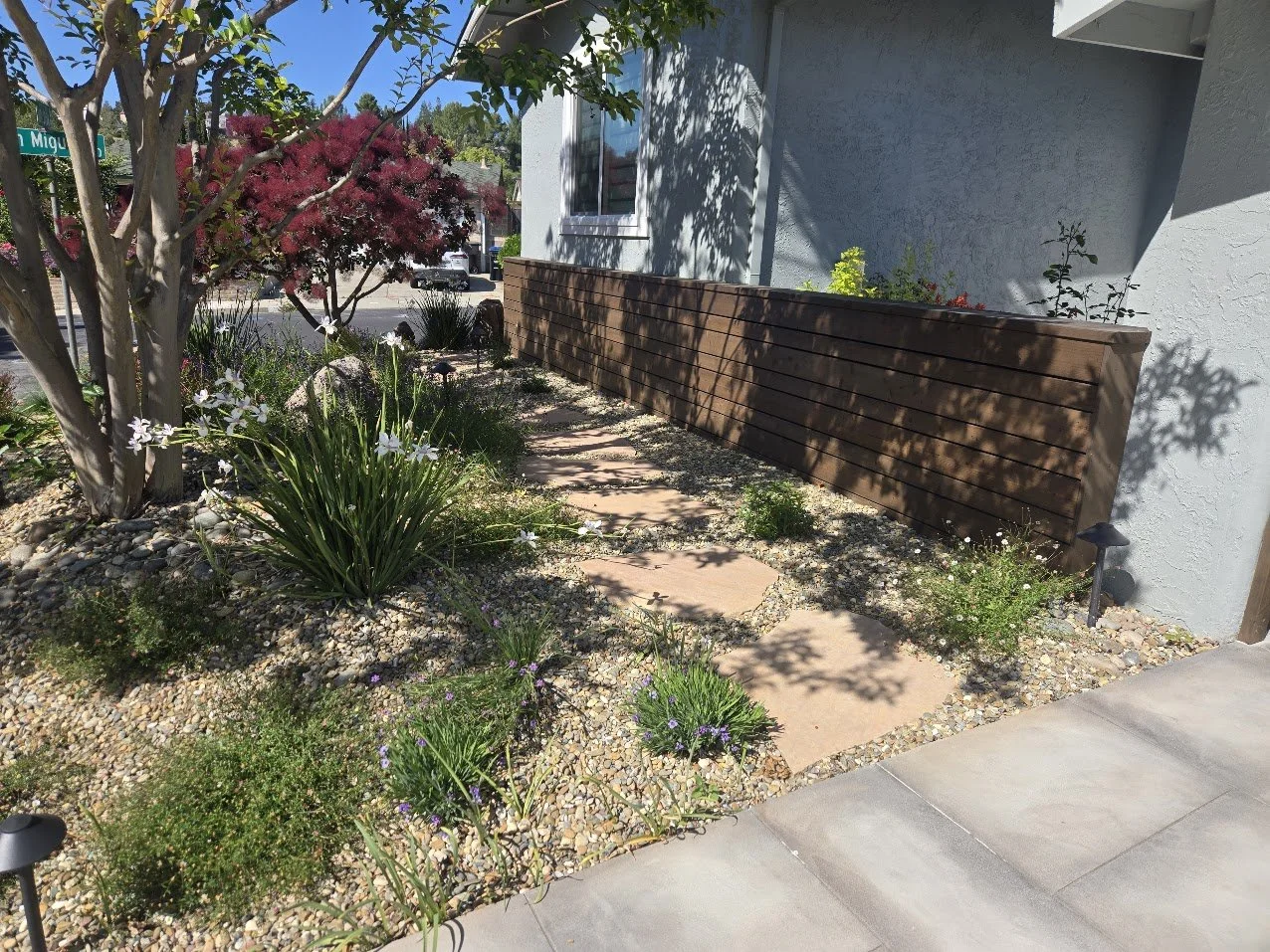 Residential front yard with gravel garden, pathway of large stepping stones, flowering plants, shrubs, trees, a white house wall with a window, wooden privacy fence, and a sidewalk.