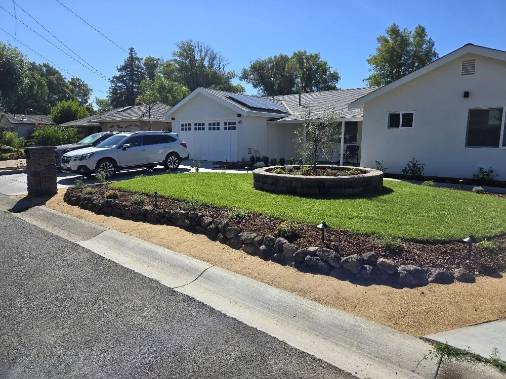 Front yard landscape with a circular flower bed, green grass, decorative rocks, small plants, and a single tree, with houses and a parked car in the background under a clear blue sky.
