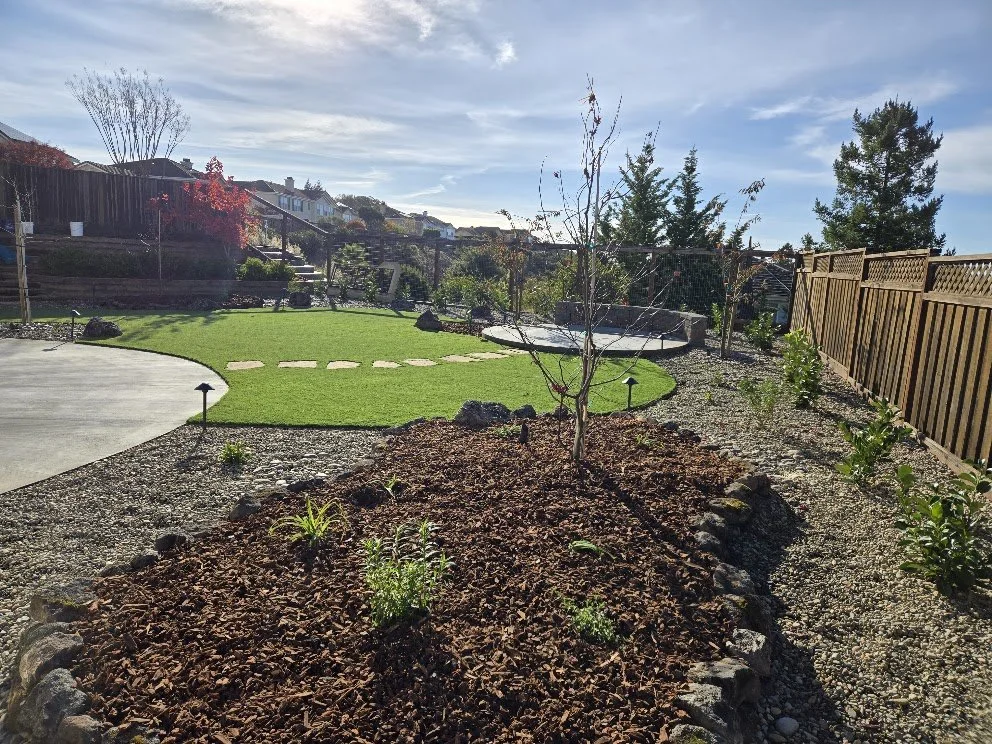 Beautiful backyard with a freshly planted garden bed, a small tree, a manicured lawn, and a sunny sky.