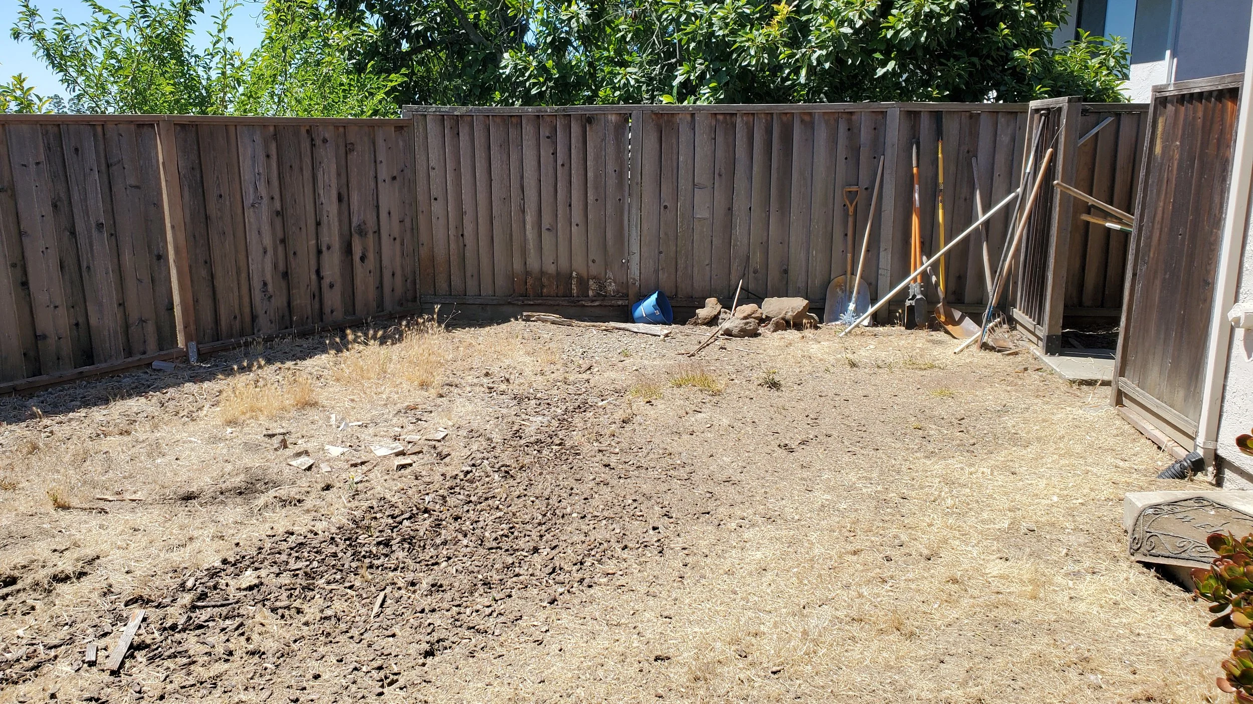 Backyard with a brown wooden fence, garden tools leaning against the fence, a blue bucket, rocks, dirt, and plants, with trees and a house in the background.