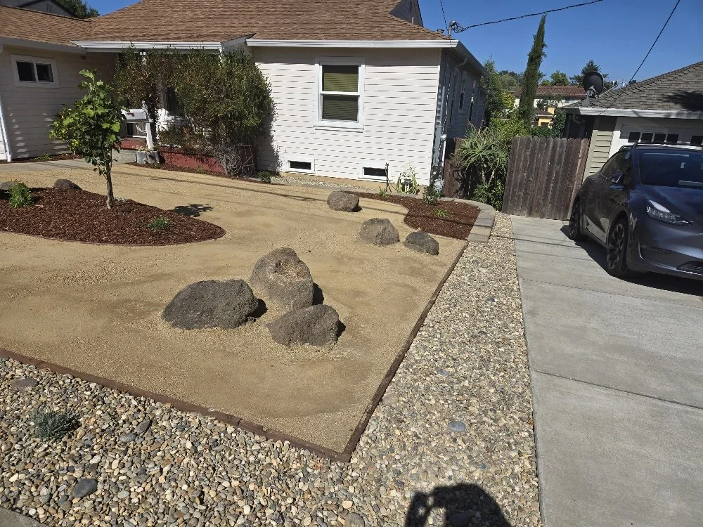 A minimalist front yard with a small tree, some bushes, and large rocks, surrounded by gravel and a concrete driveway with a parked gray car. A house with white siding and a small window is visible in the background. Clear blue sky overhead.