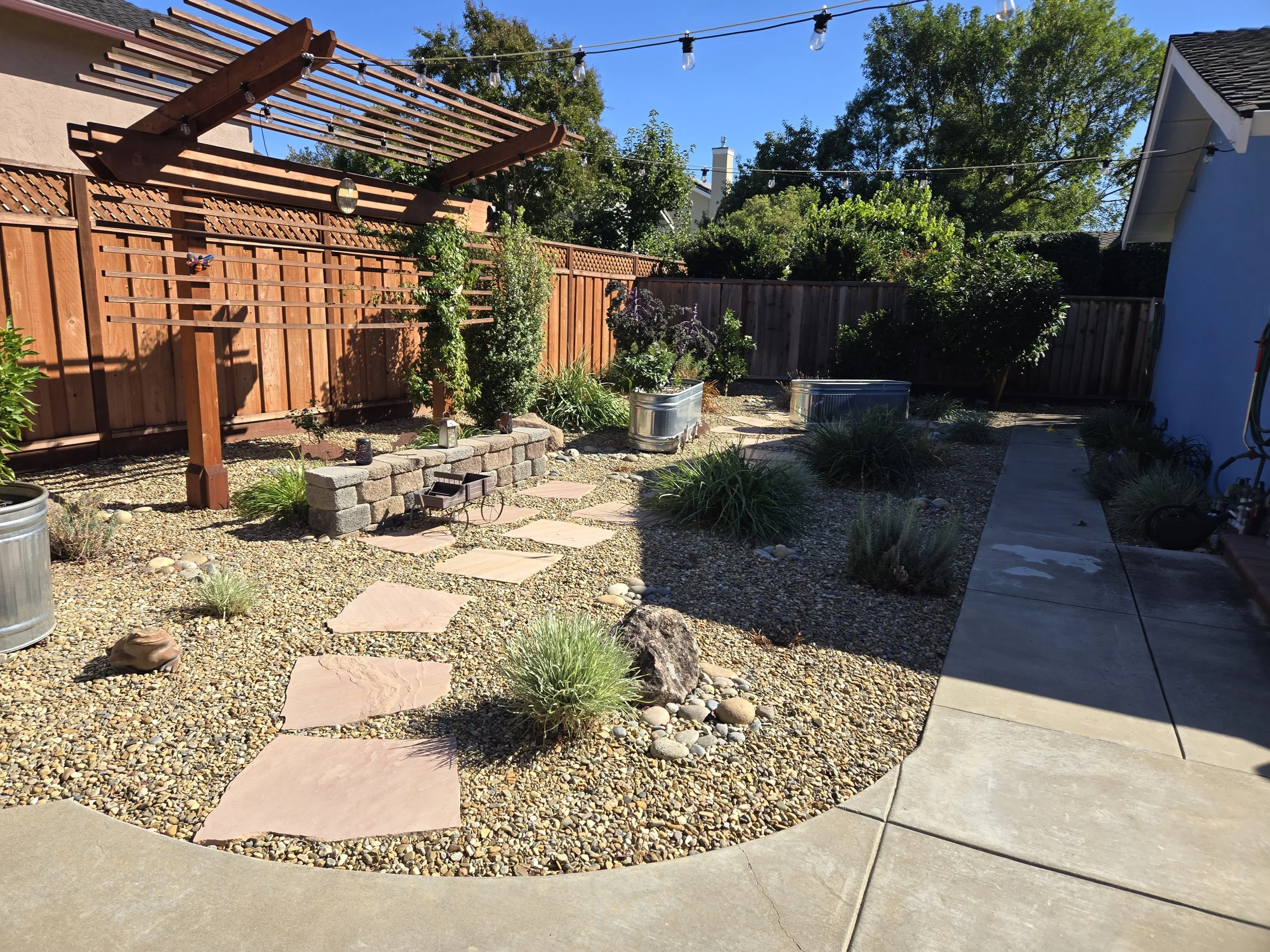 A backyard with a wooden fence, landscaped with plants, small trees, and decorative rocks. There are pathway stones, and two metal containers holding plants. String lights are overhead, and part of a house and a pergola are visible in the background.