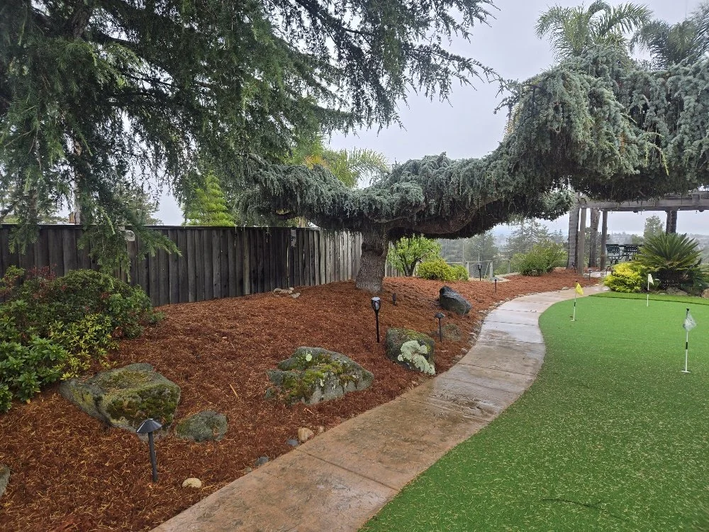 A backyard scene showing a large, overhanging pine tree, a curved concrete pathway, green lawn with small flags, and landscaping with rocks, shrubs, and mulch, enclosed by a wooden fence.