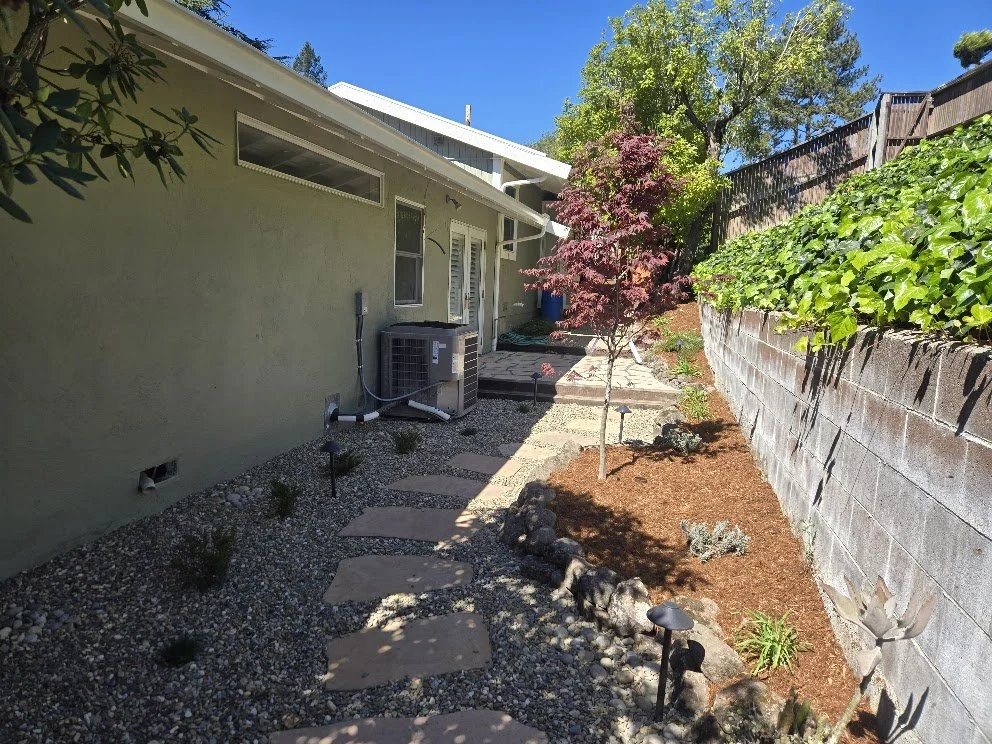 Backyard with stepping stones, small plants, a tree with red leaves, and a wire fence on one side.