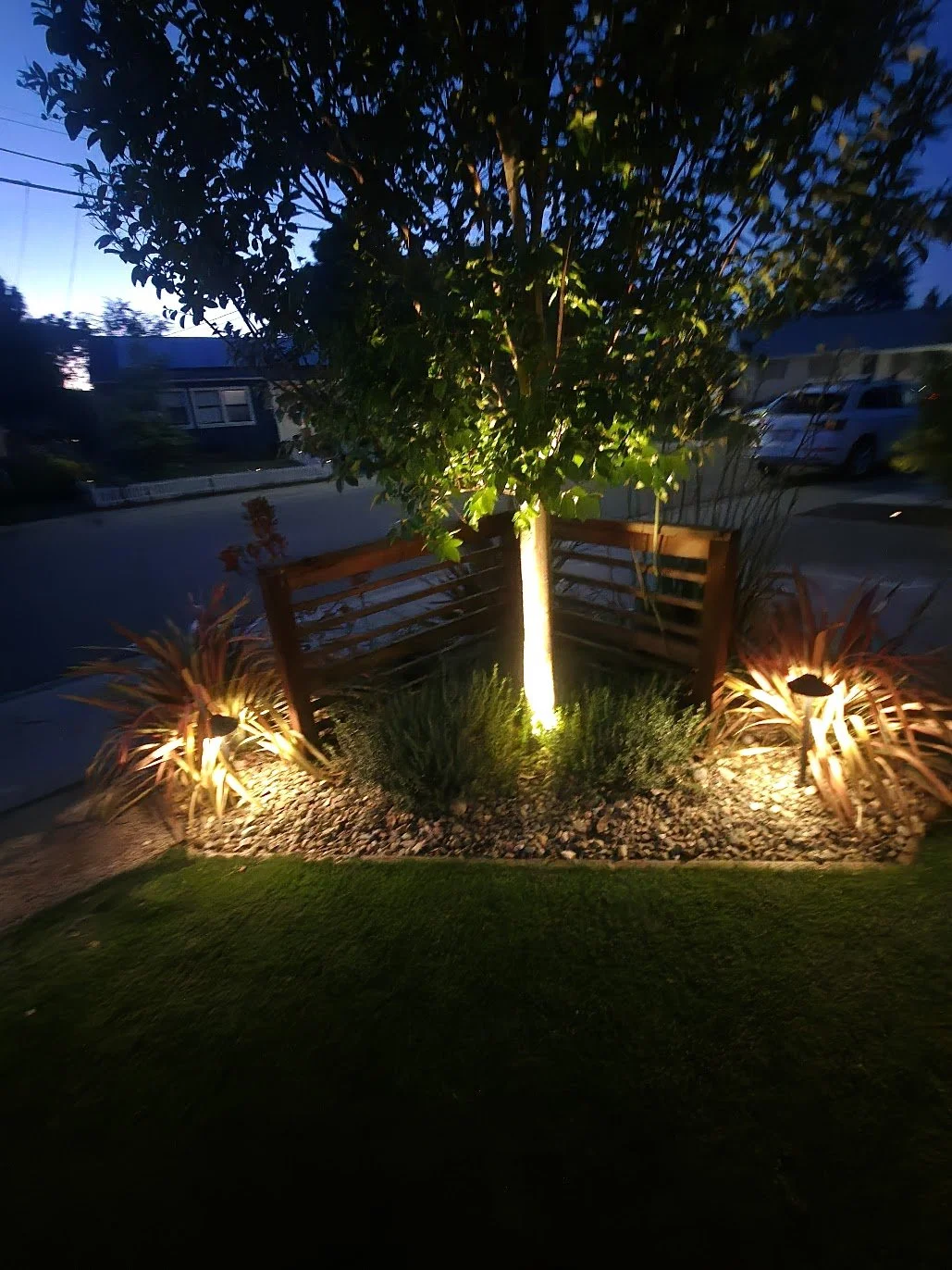 Nighttime garden scene featuring a tree illuminated by ground lights, with a wooden bench behind it, surrounded by landscaped plants and a gravel bed.