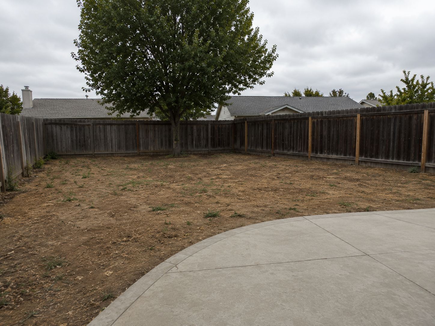 Empty backyard with a dirt yard, a tree in the corner, and a wooden fence around the perimeter, with part of a concrete patio in the foreground.