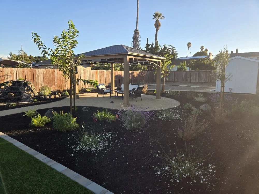 A backyard garden with a shaded seating area, small trees, plants, and a landscaped yard enclosed by a wooden fence during daytime.