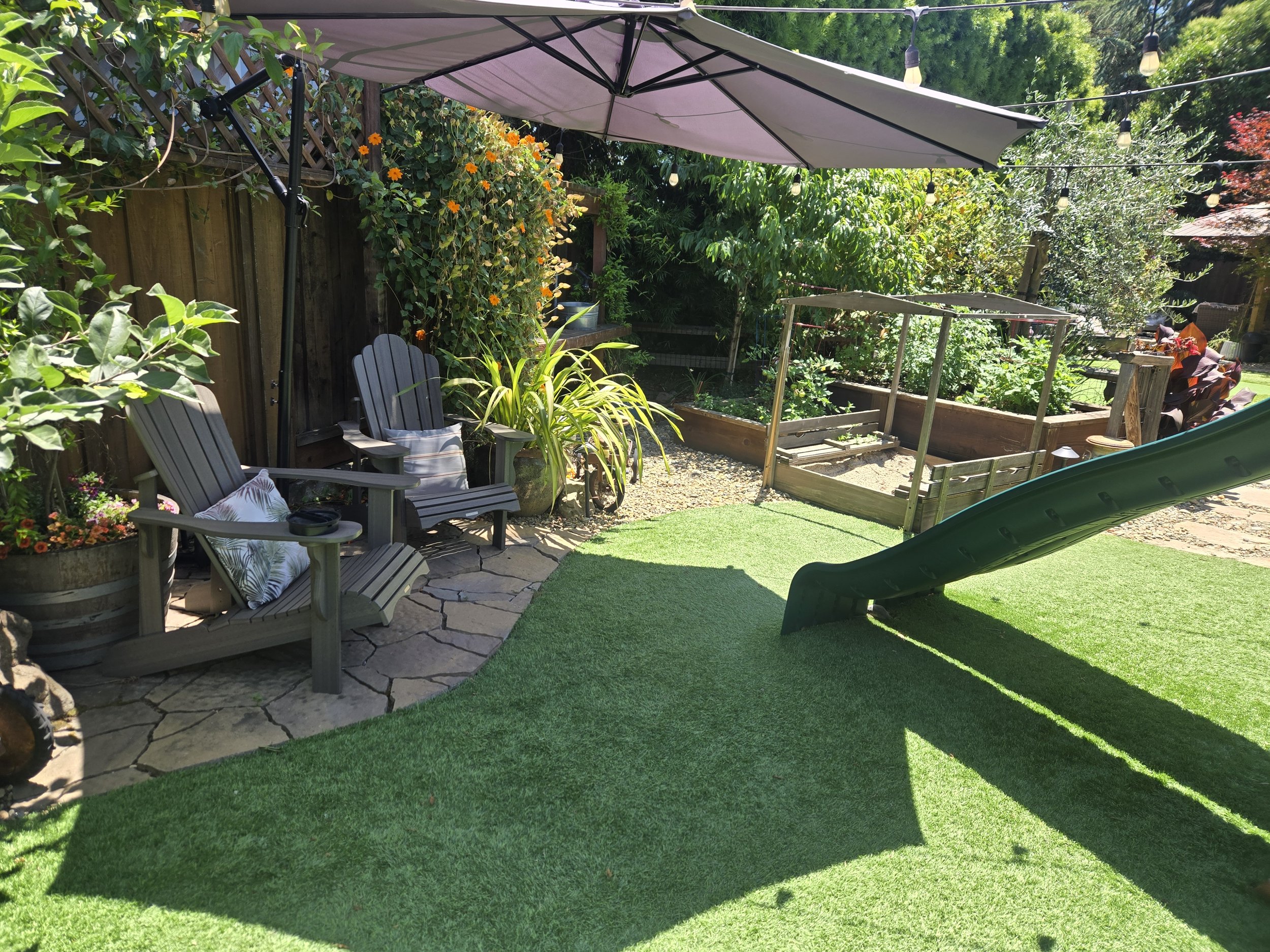 A sunny backyard garden with Adirondack chairs, patio umbrellas, and various plants, flowers, and trees. There are string lights hanging across the yard, and a section with raised garden beds and a slide in the foreground.
