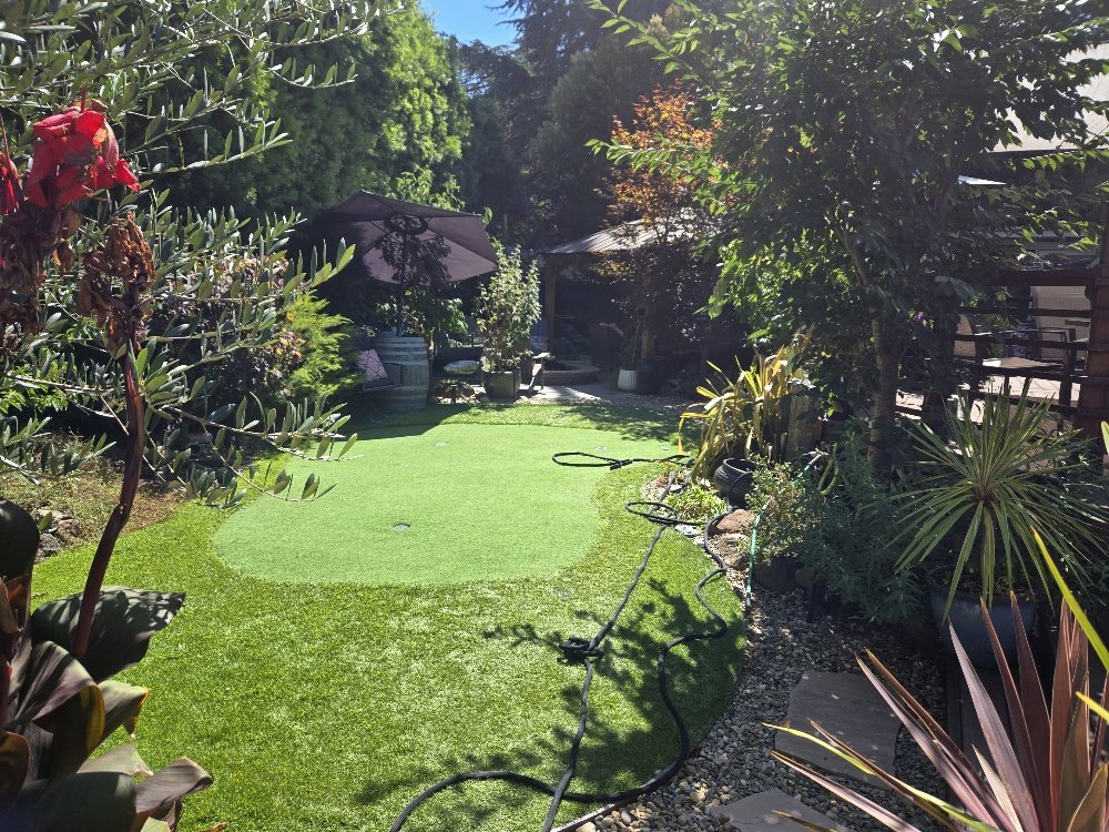 A backyard garden with a lush green lawn, surrounded by various plants and bushes, a shaded patio with an umbrella, and a house partially visible on the right.