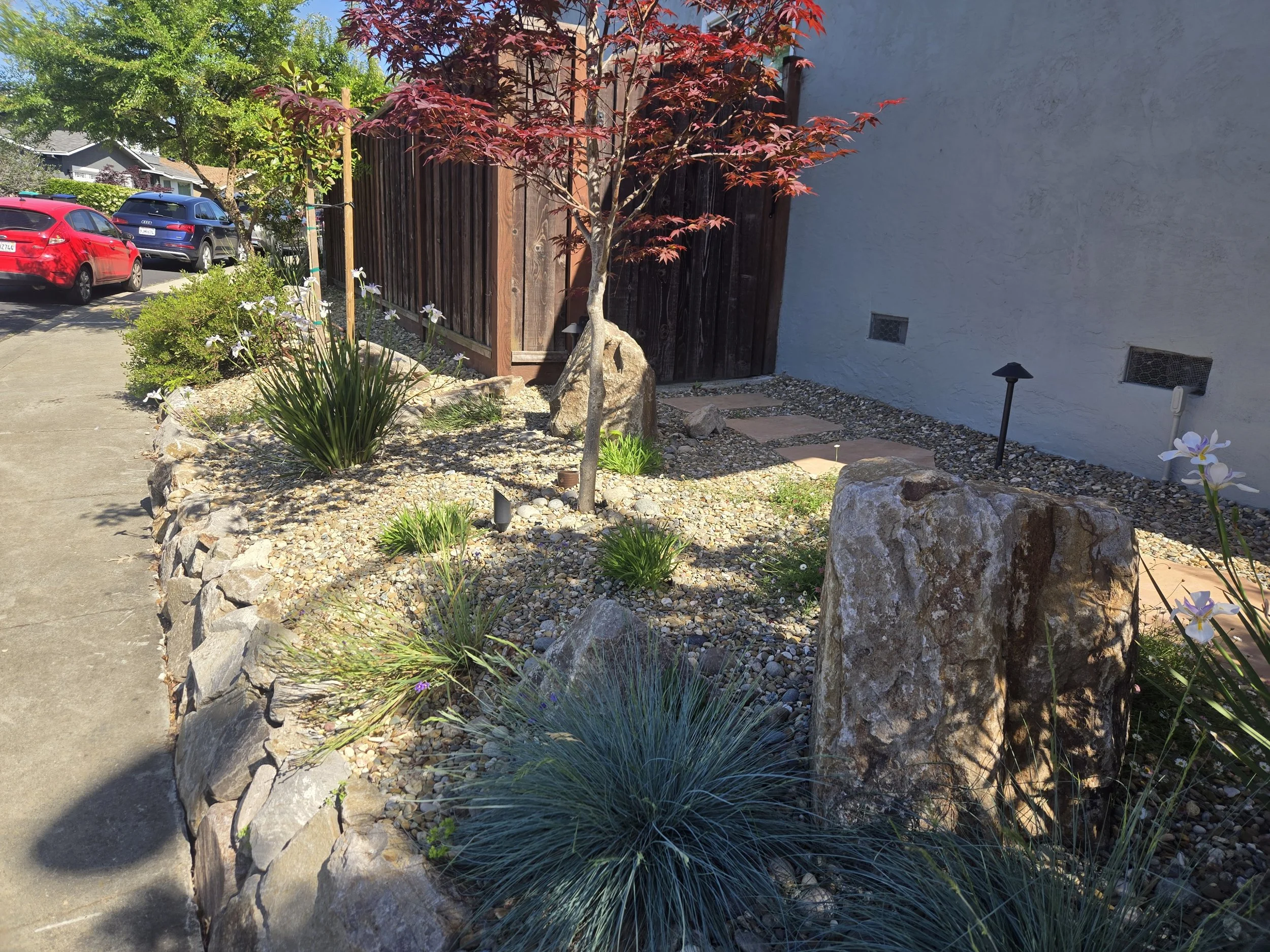 A landscaped front yard featuring a small tree with red leaves, rocks, and various desert plants. Cars are parked in the driveway, and a wooden fence and white exterior wall are visible in the background.