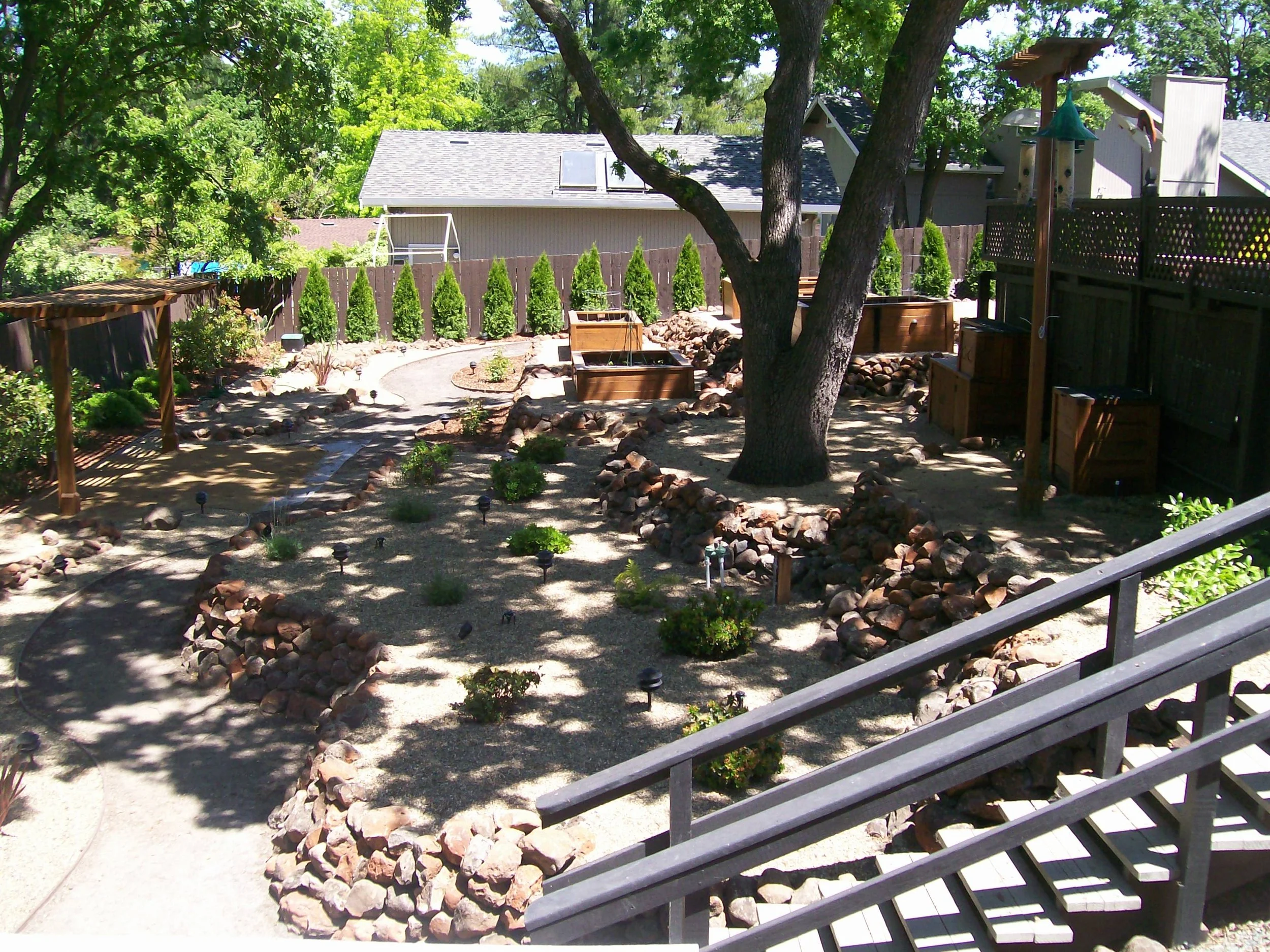 Backyard garden with a large tree in the foreground, raised garden beds, a pathway, a wooden fence with tall trimmed bushes, and a house with skylights and a birdhouse in the background, all surrounded by lush green trees.