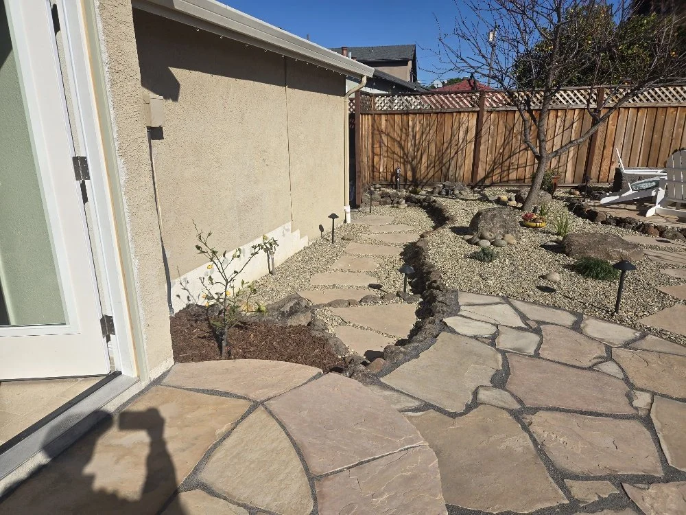 A backyard garden with stone pathway, small plants, rocks, and a wooden fence under a blue sky.