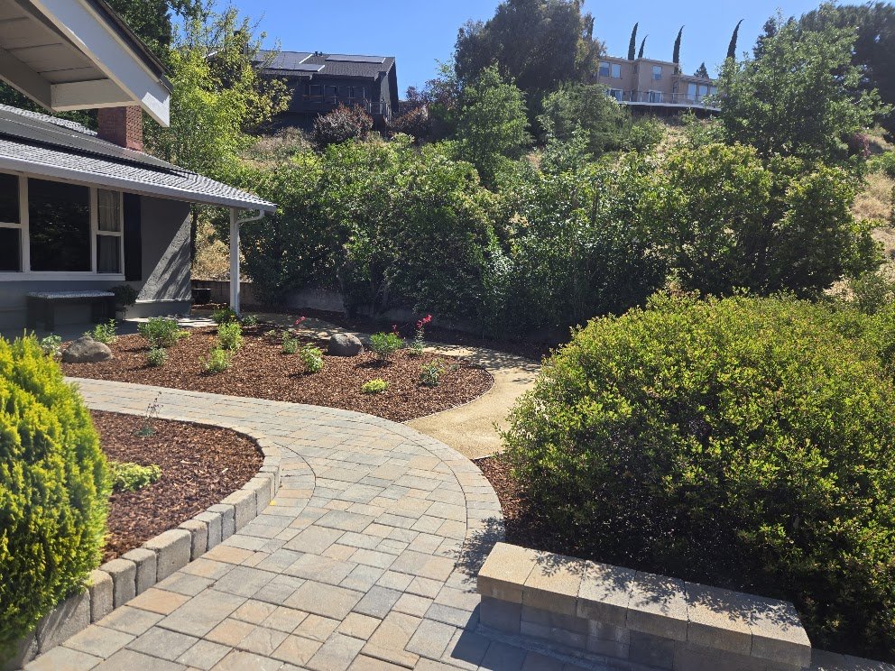 A backyard garden with a stone pathway, bushes, and trees, with houses visible on a hillside in the background.