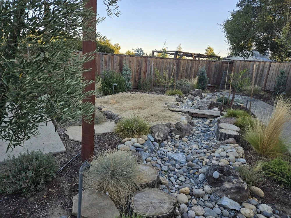 A landscaped backyard garden featuring a dry riverbed with pebbles and rocks, wooden stepping stones, and various plants including grasses and small trees, enclosed by a wooden fence with some trees in the background.