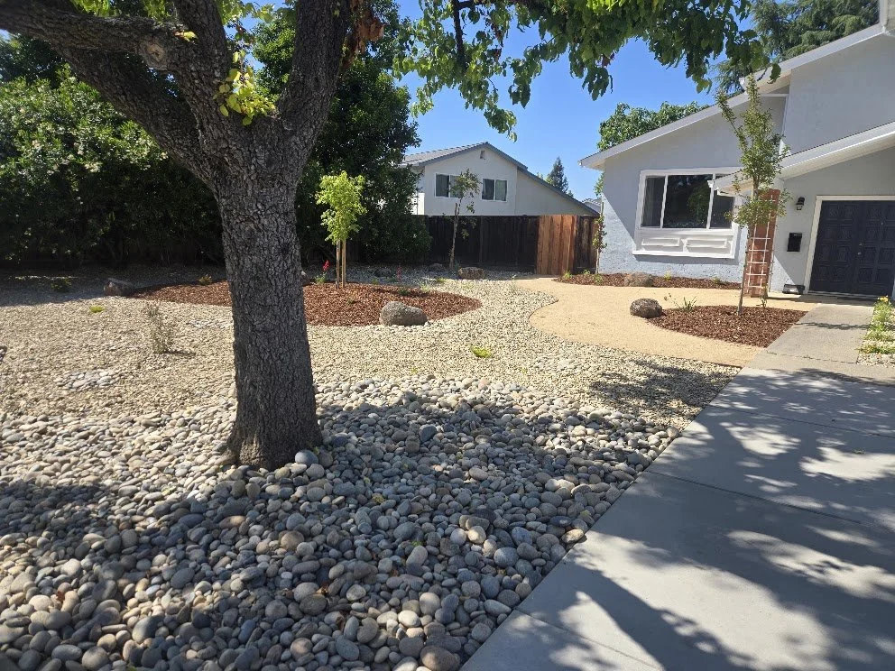 A landscaped front yard with a large tree, rocky ground cover, small plants, and a curved pathway leading to a house with a black garage door and a brick chimney. Shadows of trees are cast on the sidewalk.