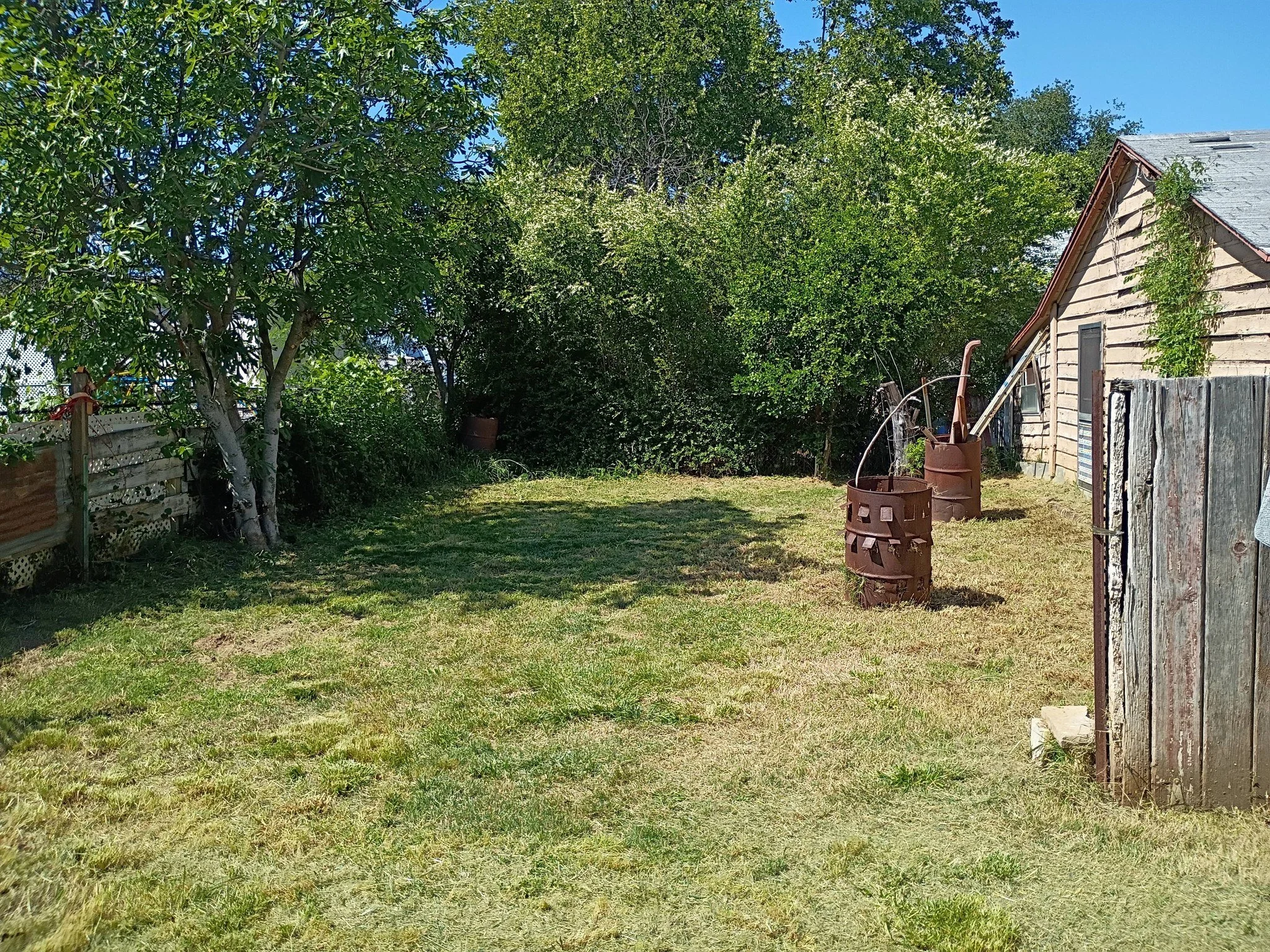 Anderson backyard.jpg