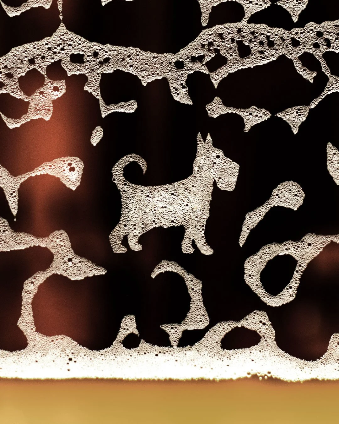 Rain Dog Bar: Logo — Design (Yes, this is real foam)