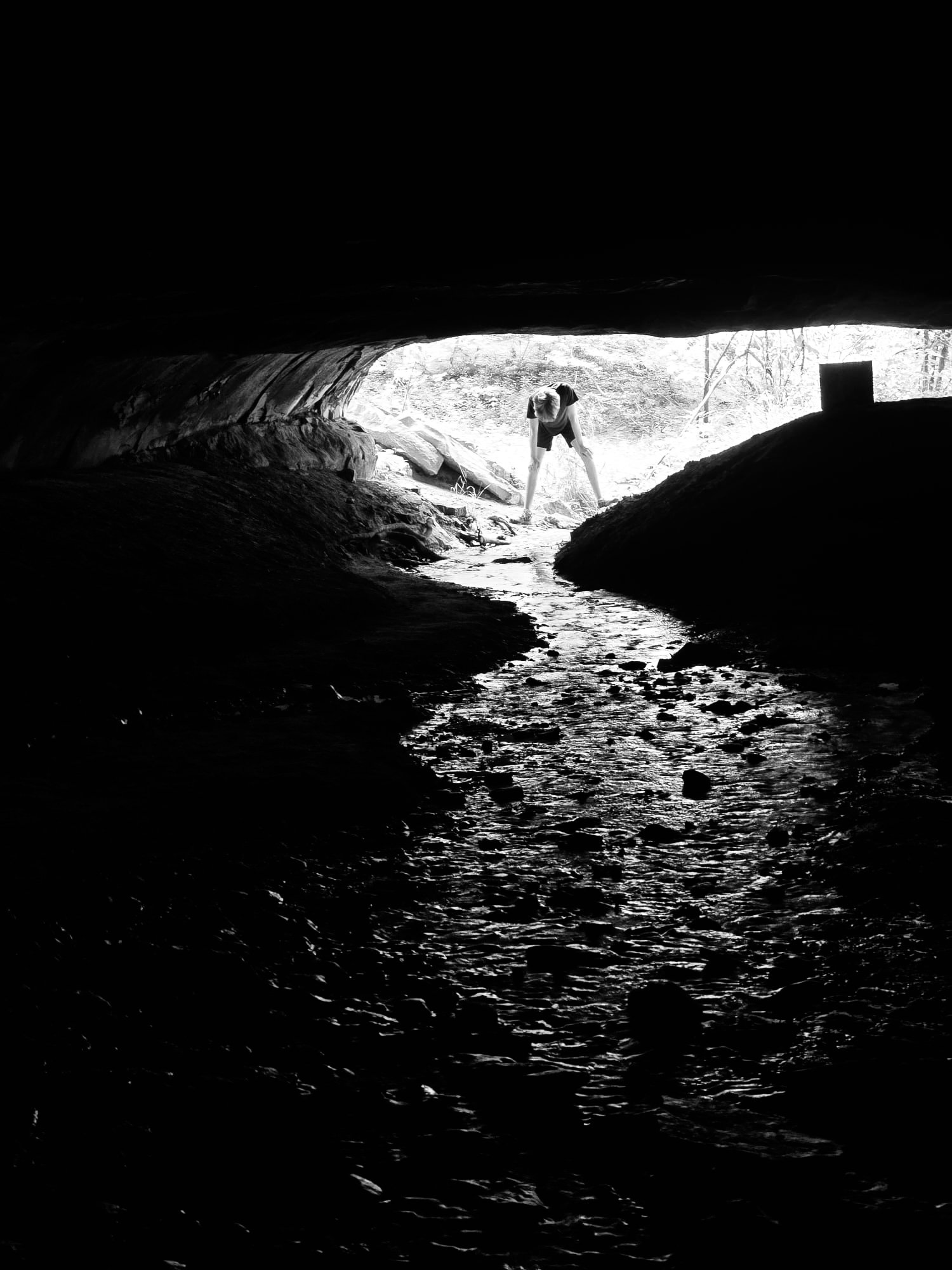 cc5b574c-d383-4fdf-9ed3-dc9ff64d9b3e (1).jpg