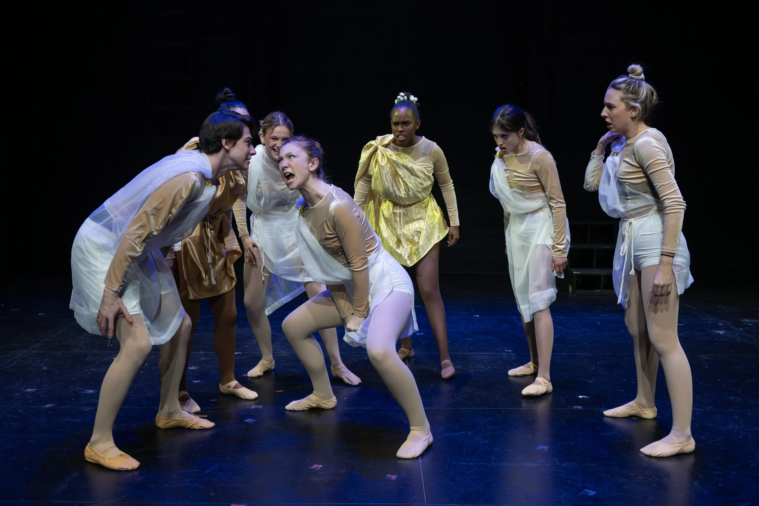 A group of eight ballet dancers in costumes on stage, some arguing, others surprised or confused, with a dark background.