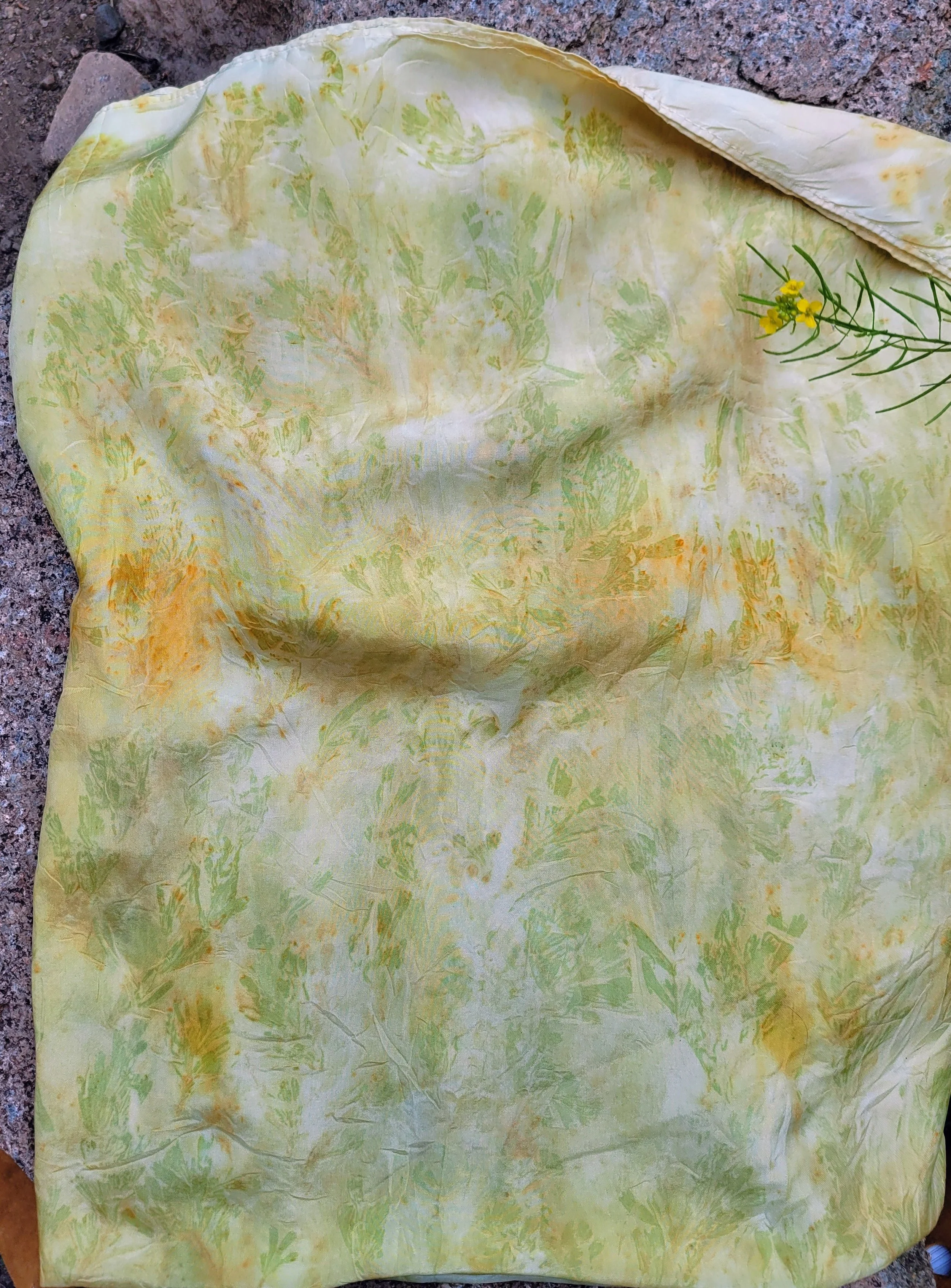 Eco print 4.jpg