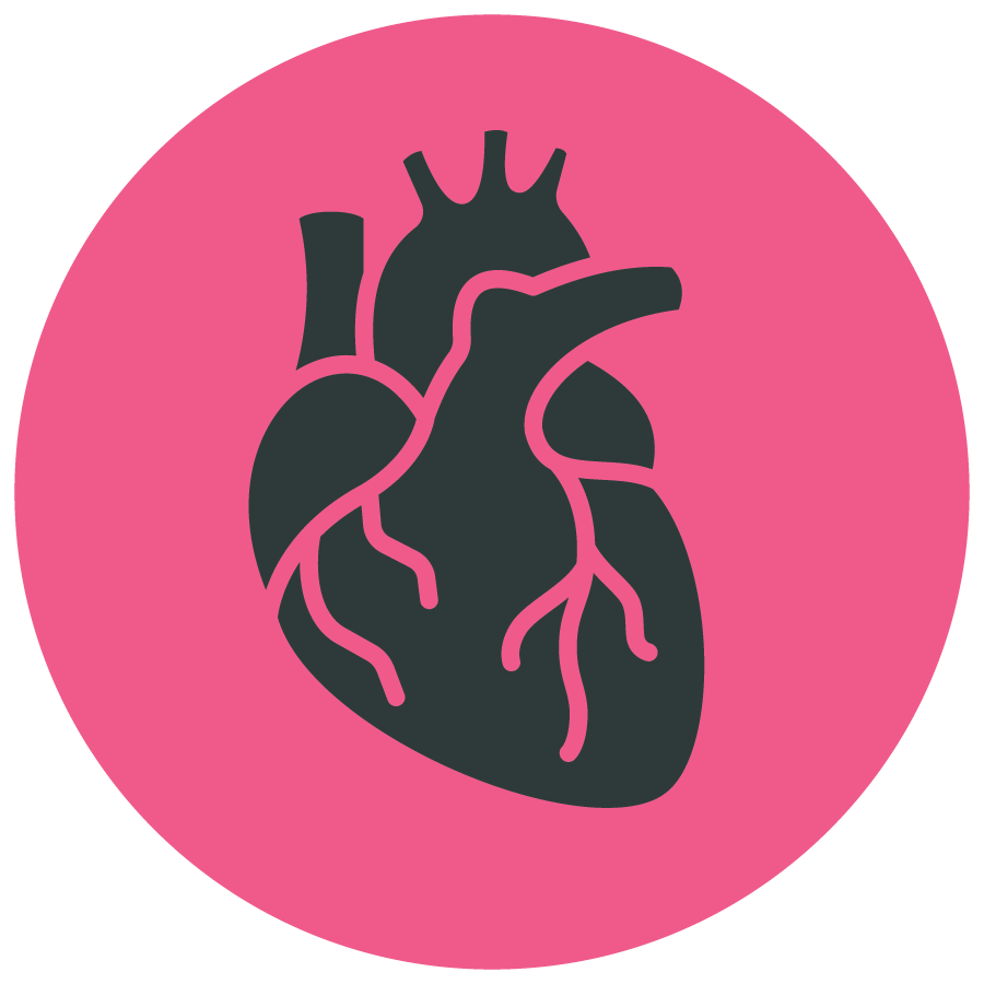 Icon of a human heart on a pink circular background.