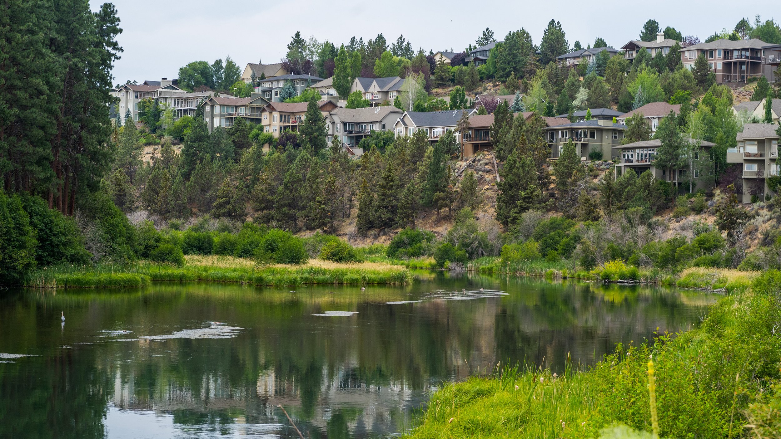Houses on a hillside surrounded by trees, reflected in a calm body of water in the foreground.