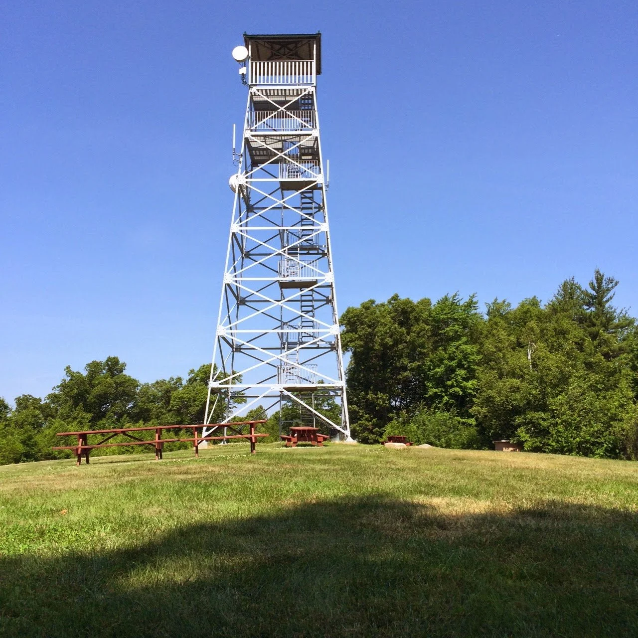 A tall white observation tower with a shaded top, situated on a grassy area with picnic tables, surrounded by trees, under a clear blue sky.