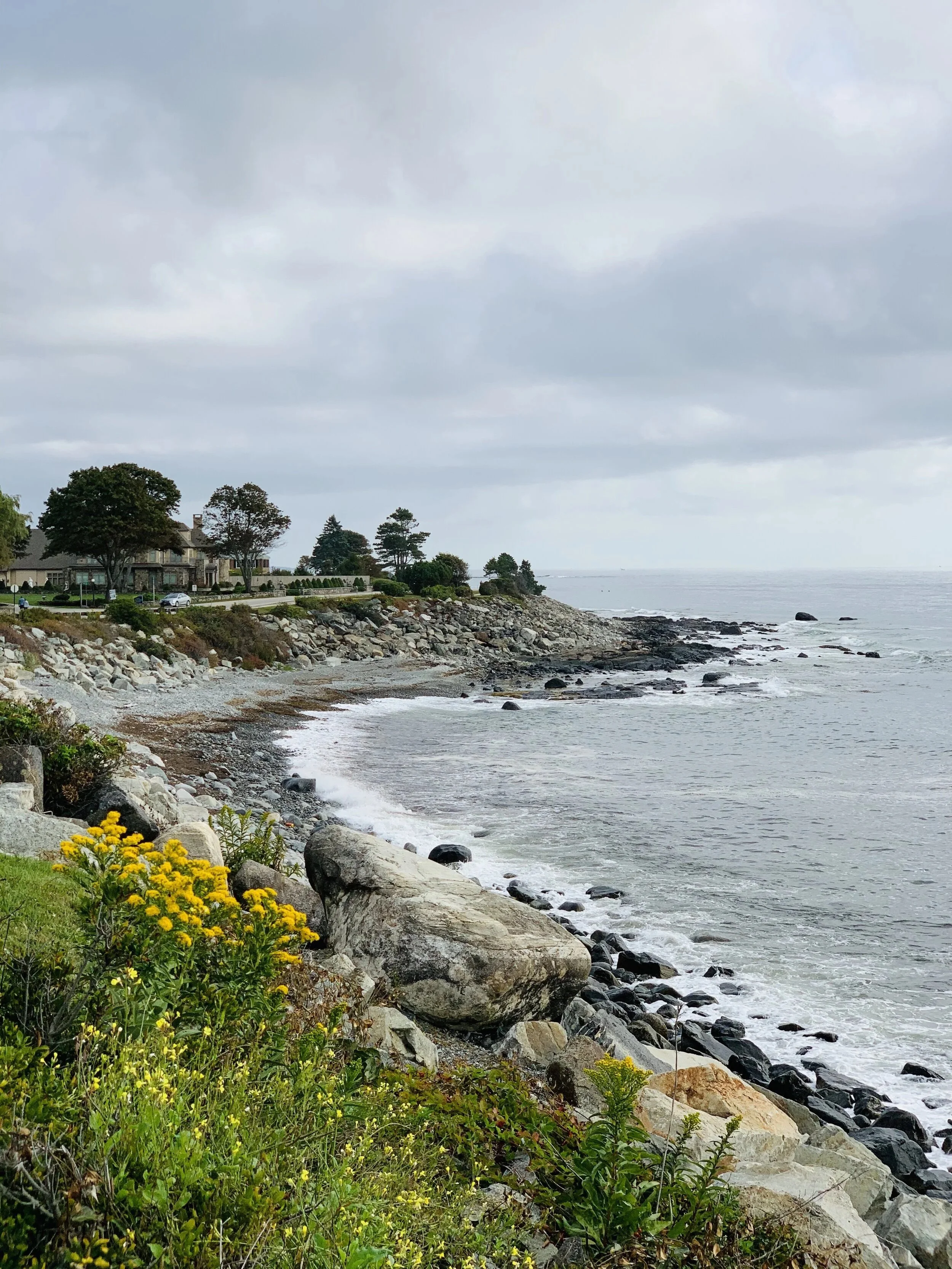 A rocky shoreline with greenery and flowers in the foreground, houses and trees in the background, and the ocean under a cloudy sky.
