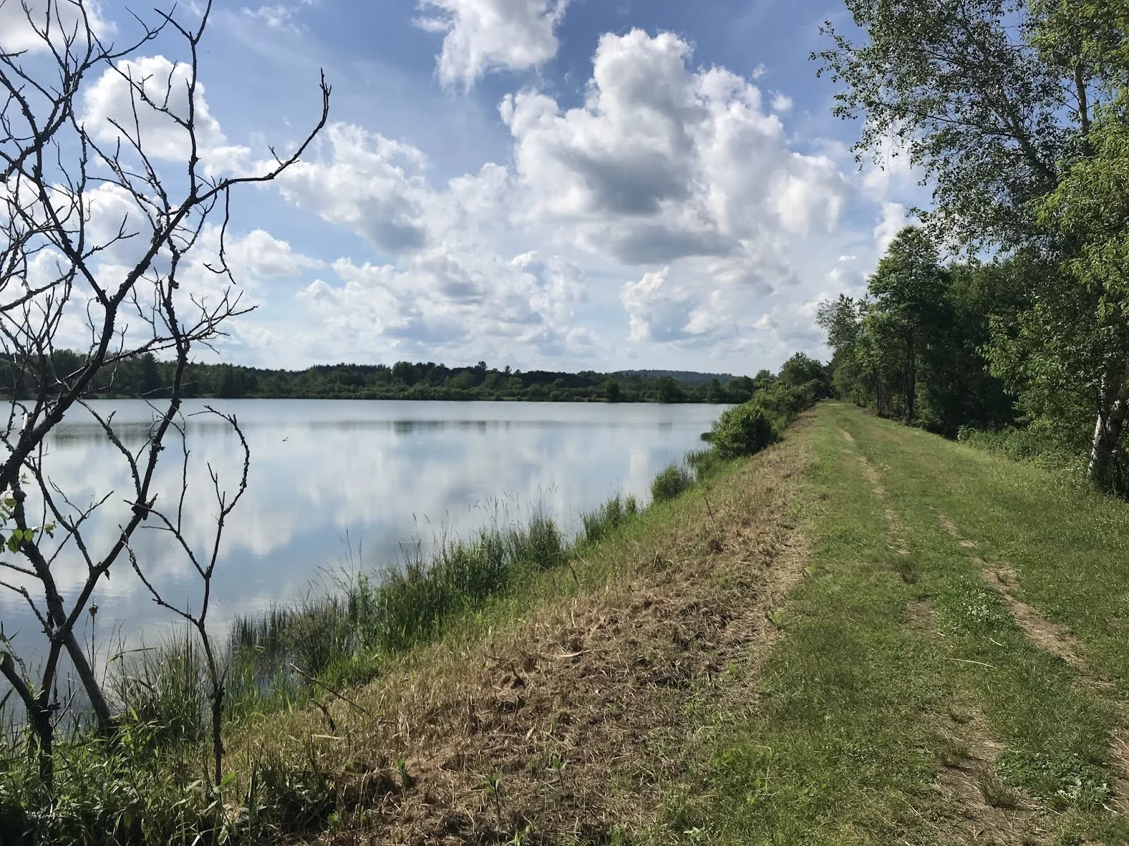 A dirt trail runs beside a calm lake with trees on the far side. The sky is partly cloudy with white fluffy clouds reflected in the water.