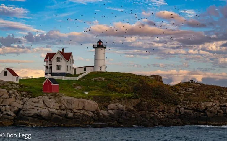 Lighthouse and house on rocky shoreline with flock of birds flying overhead during sunset