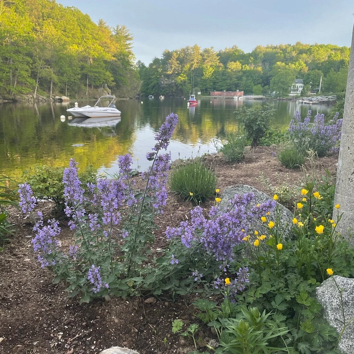A scenic lakeside view with purple and yellow flowers in the foreground, a calm lake with boats, lush green trees, and houses in the background.