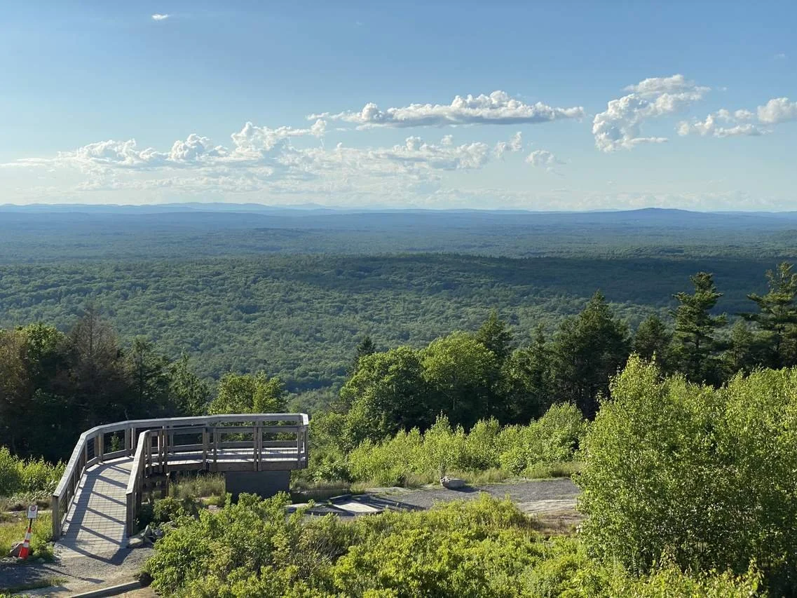A scenic view of lush green forests with a viewpoint and railing overlooking a vast landscape of rolling hills and distant mountains under partly cloudy skies.