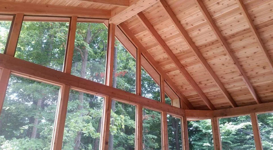 View of a wooden interior with large glass windows showing a lush green forest outside.