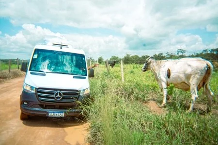 A white Mercedes-Benz van parked on a dirt road in a rural area with a cow grazing nearby, green fields, and a partly cloudy sky.