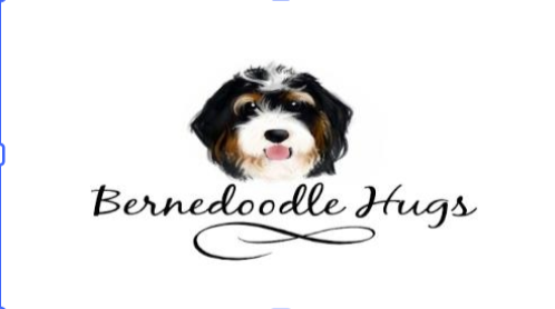 BERNLEDOODLE HUGS